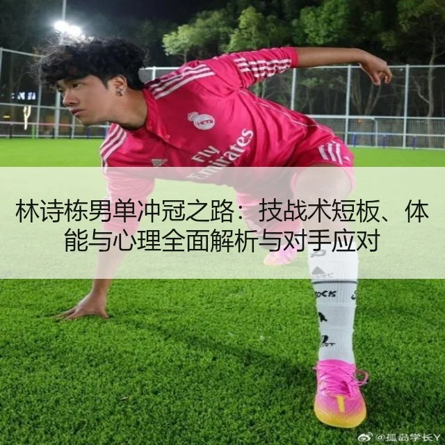 林诗栋男单冲冠之路：技战术短板、体能与心理全面解析与对手应对